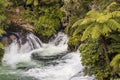 Waterfall in the forest at Okere Falls. Royalty Free Stock Photo