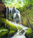 Waterfall and forest Royalty Free Stock Photo