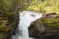 Waterfall in a forest Royalty Free Stock Photo