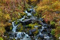 Waterfall in Forest. The plateau putorana nation park.