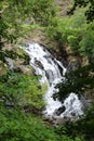 Forest waterfall Royalty Free Stock Photo
