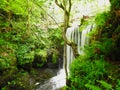 Waterfall    forest  river Royalty Free Stock Photo
