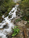 Waterfall in the forest