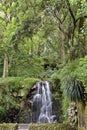 Waterfall in the forest