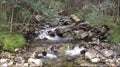 Waterfall in the forest