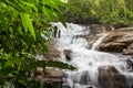 Waterfall forest stones stream jungle