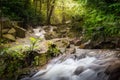 Waterfall forest stones stream jungle