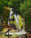 Waterfall in the forest in summer