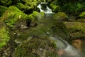 waterfall in the forest. Turbulent wate