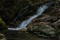 Waterfall in forest Royalty Free Stock Photo