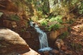 Waterfall in the forest