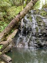 Waterfall in the Forest Royalty Free Stock Photo