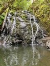 Waterfall in the Forest