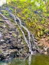 Waterfall in the Forest