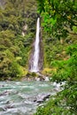 Waterfall in the forest in Westland National Park, New Zealand Royalty Free Stock Photo