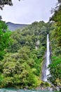 Waterfall in the forest in Westland National Park, New Zealand Royalty Free Stock Photo