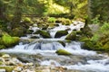 Waterfall in the forest of Zakopane, Poland