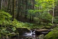 Waterfall on the Foreste Casentinesi park, Italy Royalty Free Stock Photo