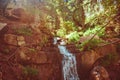 Waterfall in the forest Royalty Free Stock Photo