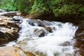Waterfall in forrest. Royalty Free Stock Photo
