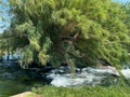 Waterfall fountain for tropical garden decoration with small green plants Royalty Free Stock Photo