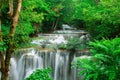 Waterfall in fresh green forest