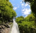 waterfall with fresh water gushing in the middle of the forest Royalty Free Stock Photo