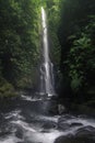 Waterfall and a freshwater river surrounded by vegetation in the middle of the humid tropical jungle of Costa Rica Royalty Free Stock Photo