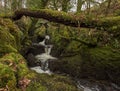Landscape photography of waterfall in forest Royalty Free Stock Photo