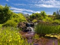 Waterfall in the garden