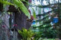 Waterfall in garden