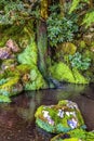 Waterfall Garden Ginkakuji Silver Pavilion Buddhist Temple Kyoto Japan Royalty Free Stock Photo