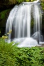 Waterfall in Germany Royalty Free Stock Photo