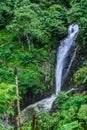 Waterfall Gigit in north Bali