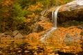 Waterfall on golden pond Royalty Free Stock Photo