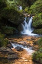 Waterfall in golden stream