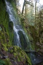 Waterfall In Goldstream Park on Vancouver Island Royalty Free Stock Photo