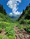 Waterfall in a green coniferous forest in summer and a mountain river. Amazing clouds against the blue sky. Fallen trees. Vertical Royalty Free Stock Photo