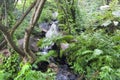 Waterfall in green forest Royalty Free Stock Photo