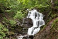 Waterfall in a green forest. Royalty Free Stock Photo