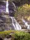 Waterfall green forest river stream landscape Royalty Free Stock Photo