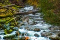 Waterfall green forest river stream landscape Royalty Free Stock Photo