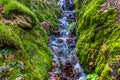 Waterfall green forest river stream landscape Royalty Free Stock Photo