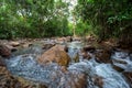 Bulgaria, Forest, River, Stream - Body of Water, Water Royalty Free Stock Photo