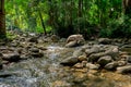 Bulgaria, Forest, River, Stream - Body of Water, Water Royalty Free Stock Photo