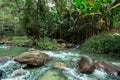 Bulgaria, Forest, River, Stream - Body of Water, Water Royalty Free Stock Photo