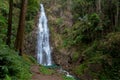 Waterfall, New Zealand, Forest, Rainforest, Stream - Body of Water Royalty Free Stock Photo