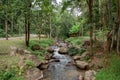 Thailand, Waterfall, Landscape - Scenery, Nature, Forest Royalty Free Stock Photo