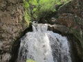 Waterfall green forest river stream landscape in spring Royalty Free Stock Photo