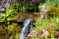 Waterfall green forest river stream landscape Royalty Free Stock Photo